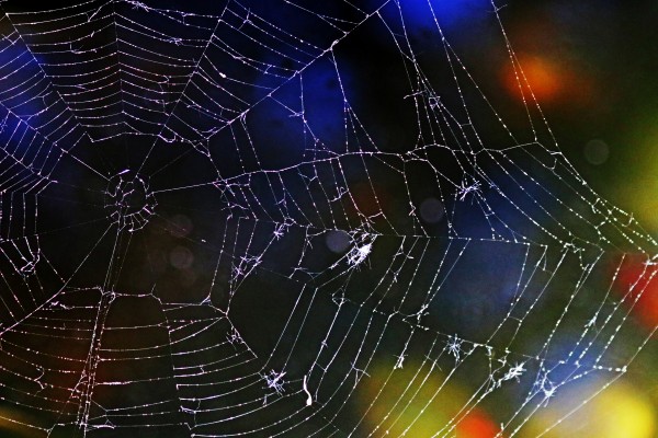Web Repairs by Deb Oppermann